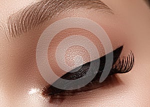 Beautiful female eye with extreme long eyelashes, black liner makeup. Perfect make-up, long lashes. Closeup fashion eyes