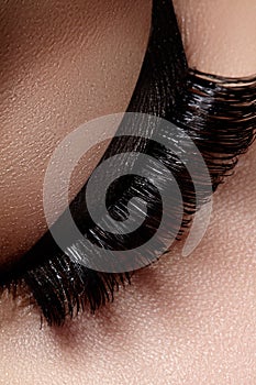 Beautiful female eye with extreme long eyelashes, black liner makeup. Perfect make-up, long lashes. Closeup fashion eyes