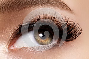 Beautiful female eye with extreme long eyelashes, black liner makeup. Perfect make-up, long lashes. Closeup fashion eyes