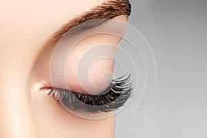 Beautiful female eye with extreme long eyelashes, black liner makeup. Perfect make-up, long lashes. Closeup fashion eyes