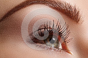 Beautiful female eye with extreme long eyelashes, black liner makeup. Perfect make-up, long lashes. Closeup fashion eyes