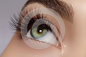 Beautiful female eye with extreme long eyelashes, black liner makeup. Perfect make-up, long lashes. Closeup fashion eyes