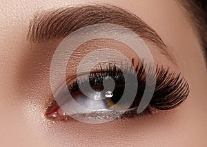 Beautiful female eye with extreme long eyelashes, black liner makeup. Perfect make-up, long lashes. Closeup fashion eyes