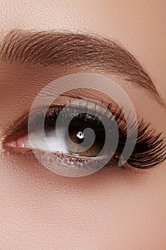 Beautiful female eye with extreme long eyelashes, black liner makeup. Perfect make-up, long lashes. Closeup fashion eyes