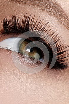 Beautiful female eye with extreme long eyelashes, black liner makeup. Perfect make-up, long lashes. Closeup fashion eyes