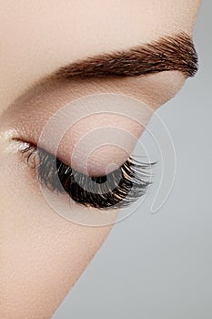 Beautiful female eye with extreme long eyelashes, black liner makeup. Perfect make-up, long lashes. Closeup fashion eyes photo