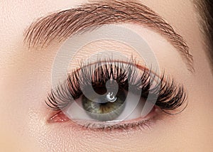 Beautiful female eye with extreme long eyelashes, black liner makeup. Perfect make-up, long lashes. Closeup fashion eyes photo