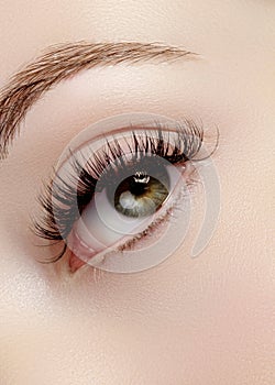 Beautiful female eye with extreme long eyelashes, black liner makeup. Perfect make-up, long lashes. Closeup fashion eyes