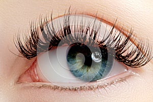 Beautiful female eye with extreme long eyelashes, black liner makeup. Perfect make-up, long lashes. Closeup fashion eyes