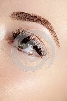 Beautiful female eye with extreme long eyelashes, black liner makeup. Perfect make-up, long lashes. Closeup fashion eyes