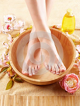 Beautiful female feet