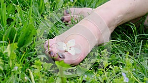 beautiful female feet barefoot on green grass