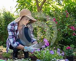 Beautiful female gardener holding a flowering plant ready to be planted in her garden. Gardening.