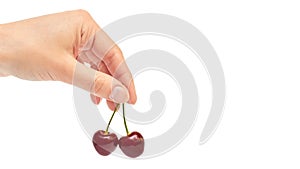 Beautiful female hand holds cherry gesture. Isolated on white background. copy space, template.