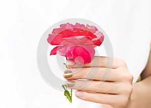 Beautiful female hand with perfect golden nail design holding blooming red rose flower