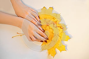 Beautiful female hands on a background, holding autumn yellow leaves, the concept of care of a skin of hands