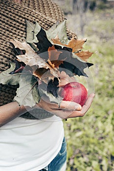 Beautiful female hands holding a red apple and a bouquet of autumn maple leaves. Vertical shot