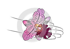 Beautiful female hands with pink orchid flower close-up. Hand touches delicate orchid. Tropical plant in hands, nature background