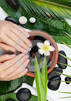 Beautiful female hands for Spa manicure