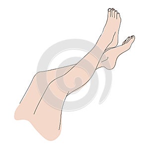 Beautiful female legs, the concept of foot care and lower extremity health, graceful part of the legs