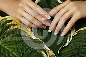 Beautiful Female Palms with Perfect French Manicure. Natural Cosmetic for Hand Care. Light Nails Polish, Clean Soft Skin