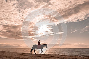 Beautiful female rider atop a majestic horse galloping along a sandy beach at sunset