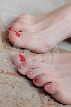 Beautiful female toes with pedicure