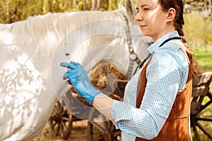 beautiful female vet inspects a white horse. Love, medicine, pet care, trust, happiness, health. A girl vaccinates a