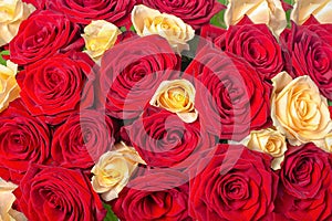 Beautiful festive background of bouquet red and yellow rose flow