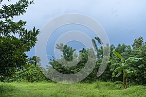 Beautiful field filled with green nature and trees during daylight photo