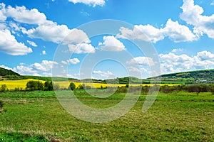 Beautiful field with green grass and yellow flowers. Cloudy sky Nature. Landscapes.