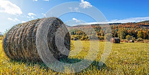 Beautiful field haystack rolls in autumn season. Haystacks harvest in fall landscape. Haystack rolls on gold agriculture field.