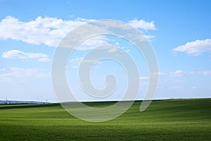 Beautiful field landscape. Countryside village rural natural background at sunny weather in spring summer. Green grass and blue