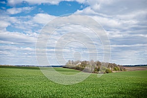 Beautiful field landscape. Countryside village rural natural background at sunny weather in spring summer. Green grass and blue