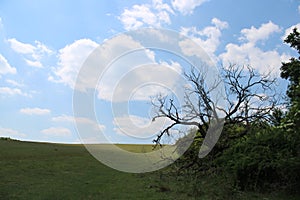 Beautiful field at Mount Gerecse