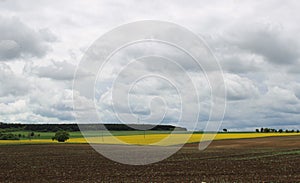 Beautiful field near Dorgicse