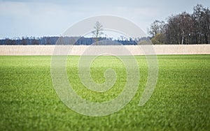 A beautiful field scenery of Slovakia.