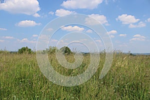 Beautiful fields with clouds