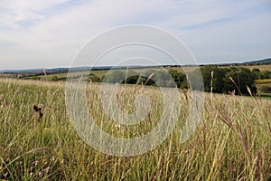 Beautiful fields with clouds