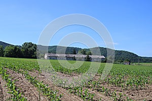 Beautiful fields with clouds