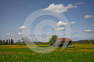 Beautiful fields and cottages under the blue cloudy sky