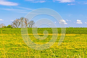 Beautiful fields and meadows landscape panorama the north of Germany