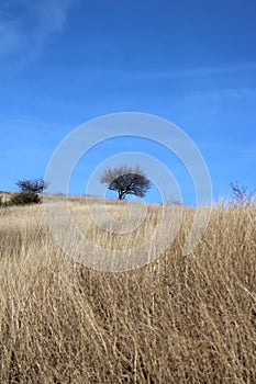 Beautiful fields near village of Epol