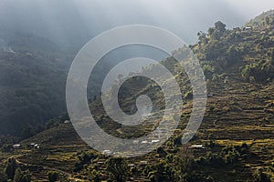 Beautiful fields of rice on trekking in Annapurna Cirquit, Nepal