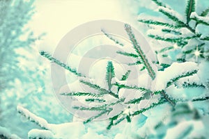 Beautiful fir tree covered snow, closeup. Winter Christmas scenic greeting card background, copy space. Holiday landscape, spruce