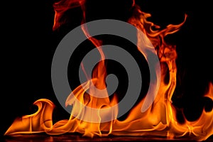 Beautiful fire flames