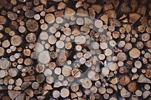 Beautiful firewood pile