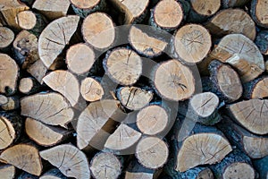 Beautiful firewood pile background with many wood