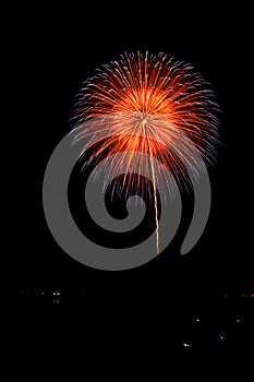 Lighten blossom firework .