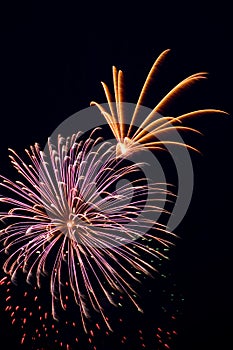 Beautiful fireworks on the black sky background